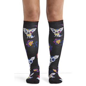 Nunc congue dui nec...